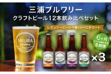 【三浦ブルワリー】定期便6ヶ月クラフトビール12本飲み比べセット　M110-T06