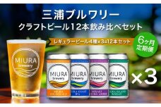 【全6回定期便】【三浦ブルワリー】クラフトビール 12本飲み比べセット　M110-T06