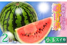 有機肥料で育てた小玉スイカ【姫甘泉】（2個入り）　M002-008