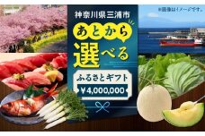 あとからセレクト【ふるさとギフト】400万円　M000-025