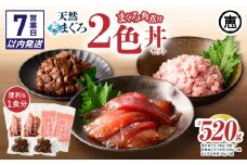 【7営業日以内に発送】三崎まぐろ 2色丼セット まぐろの角煮付 計520g （漬けまぐろ、目鉢まぐろすきみ、まぐろの角煮）　M020-023-sp