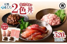 三崎まぐろ 2色丼セット まぐろの角煮付 計520g （漬けまぐろ、目鉢まぐろすきみ、まぐろの角煮）【2025年11月お届け】　M020-023-11