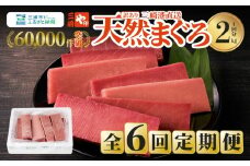 【全6回定期便】老舗三崎まぐろ問屋から直送！天然マグロ赤身 2kgをお届け　M063-T10