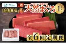 【全6回定期便】老舗三崎まぐろ問屋から直送！天然マグロ赤身 1kgをお届け　M063-T11