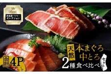 【高島屋バイヤーセレクション】天然本まぐろ中とろ2種食べ比べセット　M038-010
