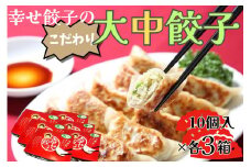 016-06-1幸せ餃子のボリューム満点こだわり大・中餃子（各3箱）/ 餃子 ギョウザ 手作り ジャンボ餃子  冷凍 食品 おかず 3箱 2サイズ  冷凍 食品 おかず  冷凍 食品 おかず 国産 国産野菜 高座豚 ぎょうざ  ギョーザ 餃子 冷凍餃子  焼き餃子 焼餃子 冷凍 冷凍食品 おかず 弁当 惣菜 おつまみ おやつ 時短  便利 焼くだけ お手軽 アレンジ 常備 食べ比べ