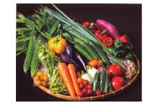 006-05じばさんずの野菜セット  秦野産野菜3～5種類程（はだのじばさんずから、とれたて新鮮の野菜を厳選してお送りします！）/ 産地直送 国産 JA 秦野産 直送 野菜 旬 人気 セット 新鮮  神奈川 農協 じばさんず 野菜セット おまかせ 