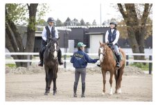 ペア体験乗馬レッスン2回コース＋蹄鉄プレゼント｜乗馬体験 馬 初心者 癒し ヒーリング アニマルセラピー 神奈川 秦野