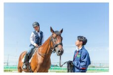 体験乗馬レッスン30分＋乗馬テキストプレゼント｜乗馬体験 馬 初心者 癒し ヒーリング アニマルセラピー 神奈川 秦野