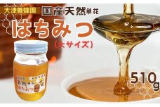 012-13大津養蜂園の天然はちみつ（大サイズ）510g　/ 国産 大津養蜂園 秦野市内の畑や野山 蜜蜂 天然はちみつ 花の香 芳純 味わい 天然単花蜂蜜 ８種類あるはちみつ中セレクトした1種類をお届け