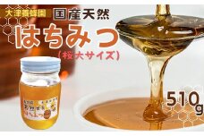 017-10大津養蜂園の天然はちみつ（桜・大サイズ）510g　/ 国産 大津養蜂園 秦野市内の畑や野山 蜜蜂 天然はちみつ 花の香 芳純 味わい 天然単花蜂蜜 桜のはちみつ