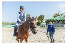 【平日限定】乗馬レッスン10回コース（3日）＋テキストプレゼント｜乗馬体験 馬 初心者 癒し ヒーリング アニマルセラピー 神奈川 秦野