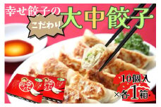 006-21-1幸せ餃子のボリューム満点こだわり大・中餃子（各1箱）/ ２サイズ 冷凍 食品 おかず 餃子 ギョウザ 手作り ジャンボ餃子 １０個入り ２箱 冷凍 食品 おかず  冷凍 食品 おかず 国産 国産野菜 高座豚 ぎょうざ  ギョーザ 餃子 冷凍餃子  焼き餃子 焼餃子 冷凍 冷凍食品 おかず 弁当 惣菜 おつまみ おやつ 時短  便利 焼くだけ お手軽 アレンジ 常備 食べ比べ
