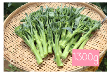 006-28_【大好評♪】 箱いっぱい入れます　茎ブロッコリー（約1,300g）『from 名水の里 秦野』