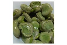5 月発【 大好評(^^♪】”みずみずしくて食べやすい”とれたて  そら豆（約1,500g）人数目安：1～４名　from 名水の里 秦野　　そら豆 そらまめ ソラマメ 野菜 農作物 産地直送 農家直送　おつまみ　おやつ　ゴールデンウィーク　大谷　小谷
神奈川県秦野　秦野　 007-31_