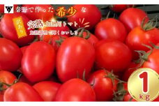 【先行予約！2025年6月中旬発送】完熟 訳あり加熱用トマト（1,000ｇ）煮込み 料理 イタリアン トマト料理 ソース コース パスタ スパゲッティ ひと手間 プロ レストラン ミートソース 006-33