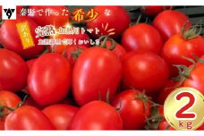 【先行予約！2025年6月中旬発送】完熟　訳あり加熱用トマト（2,000ｇ）煮込み 料理 イタリアン トマト料理 ソース コース パスタ スパゲッティ ひと手間 プロ レストラン ミートソース 012-26