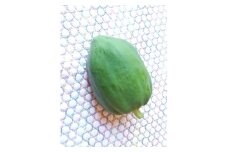 【スーパーフードとして注目の野菜(^^♪】青パパイヤ 実  2000g＋葉っぱ2枚　from 名水の里　神奈川県秦野市　　　スーパーフード　野菜 農作物 産地直送 農家直送　　大谷　小谷　神奈川県秦野　秦野　006-38　
  011-31　