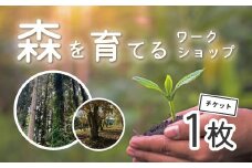 秦野里山　森を育てる　植林ワークショップ｜自然保護 環境保全 地球温暖化防止 森づくり 林業 森林 景観 体験 自然体験 森林セラピー 癒し ヒーリング 神奈川 秦野 038-01