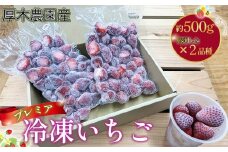 No.1116 厚木農園産　プレミア冷凍いちご（1kg） ／ 苺 イチゴ 果物 フルーツ 冷凍保存 丁寧 厳選 飯山 厚木市 おやつ デザート 子供 スムージー ヨーグルト お菓子作り 神奈川県