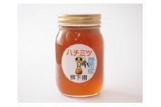 No.009 厚木産のハチミツ(百花蜜)600g ／ 蜂蜜 はちみつ ハニー 神奈川県