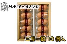 No.012 三豆一穀 10個入 ／ デザート スイーツ 最中 モナカ 和菓子 神奈川県