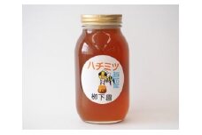 No.034 厚木産のハチミツ(百花蜜)1200g ／ 蜂蜜 はちみつ ハニー 神奈川県