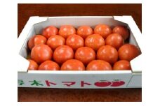 No.157 農家直送！　トマト　Lサイズ　約4kg ／ とまと 農園 かながわブランド 神奈川県