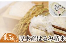 No.301 厚木産はるみ精米　4.5kg ／ お米 ブランド米 特A 神奈川県