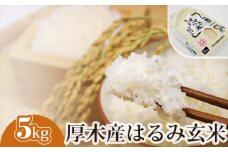 No.302 厚木産はるみ玄米　5kg ／ お米 ブランド米 特A 健康 神奈川県