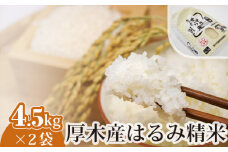 No.304 厚木産はるみ精米　4.5kg×2袋 ／ お米 ブランド米 特A 神奈川県