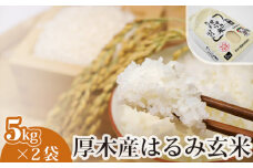 No.305 厚木産はるみ玄米　5kg×2袋 ／ お米 ブランド米 特A 健康 神奈川県