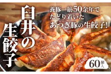 No.654 あつぎ豚 臼井の生餃子セット ／ ぎょうざ ギョーザ 中華 神奈川県