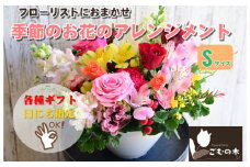 No.808 季節のお花のフラワーアレンジメント Sサイズ ／ ギフト 贈り物 神奈川県