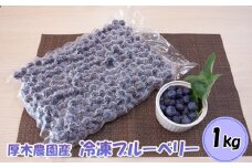 No.840 厚木農園産　プレミア冷凍ブルーベリー（1kg） ／ 果物 フルーツ 果実 神奈川県 特産品