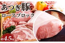 No.874 かながわの名産100選　あつぎ豚　ロースブロック ／ 豚肉 ブランド豚 名産 神奈川県 特産品