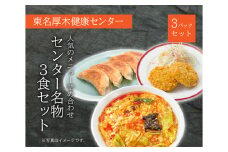 No.916 冷凍サ飯バラエティセット ／ トマトサンラータンメン 野菜餃子 コロッケ 神奈川県