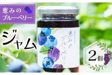 No.1000 ブルーベリージャム「恵みのブルーベリー」2個 ／ 果物 フルーツ 無添加 無着色 無香料 神奈川県