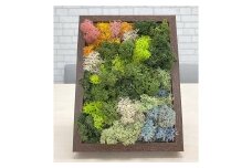 スカンディアモス アートワーク 枠カラー：ブラウン （19.6cm×14.8cm×H4～5cm） インテリア 