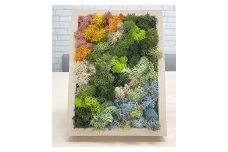 スカンディアモス アートワーク 枠カラー：バーチ調 （19.6cm×14.8cm×H4～5cm） インテリア 
