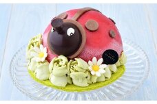 アイスケーキ・コクシネルアトウキョウ 5号 アイスクリーム シャーベット ケーキ 