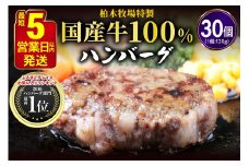 [最短翌日から5営業日以内発送] 柏木牧場特製 国産牛100%ハンバーグ (120g×30個)｜国産 ハンバーグ 冷凍 グルメ ギフト お惣菜 惣菜 大容量 [0069]