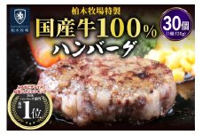 柏木牧場特製 国産牛100%ハンバーグ (120g×30個)｜国産 ハンバーグ 冷凍 グルメ ギフト お惣菜 惣菜 大容量 [0069]