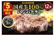 [最短翌日から5営業日以内発送] 柏木牧場特製 国産牛100%ハンバーグ (120g×12個)｜国産 ハンバーグ 冷凍 グルメ ギフト お惣菜 惣菜 大容量 [0067]