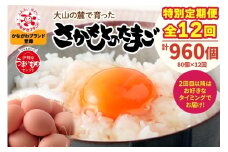 [特別定期便全12回] たまご 2回目以降はお好きなタイミングでお届け！ 坂本養鶏 大山の麓で育ったさかもとのたまご 合計960個 (80個×12回)｜伊勢原市 赤玉卵 玉子 鶏卵 生卵 国産 TKG タマゴ 新鮮 大山 鶏 ギフト 安心 安全 親子丼 卵焼き 目玉焼き お菓子 [0399b]