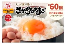 坂本養鶏 大山の麓で育った さかもとのたまご 60個(54個＋割れ保証6個)｜伊勢原市 赤玉卵 玉子 鶏卵 生卵 国産 TKG タマゴ 新鮮 大山 鶏 ギフト 安心 安全 親子丼 卵焼き 目玉焼き お菓子 [0386b]