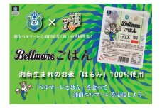[ベルマーレごはん] Jリーグ湘南ベルマーレ公認！伊勢原市産【はるみ】ごはんパック12食×2箱｜米 パックごはん ギフト 贈りもの お手軽 保存食 ブランド米 [0135]
