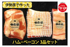 フリーデン やまと豚 伊勢原で作ったハム・ベーコン 3品セット [0167] 伊勢原市 フリーデン スモークドハム 原木ロースハム ベーコン ブロック ハムソーセージ 詰め合わせ  ギフト箱入り