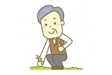 いせはら安心お助け隊！草むしりサービス2時間 [0194]