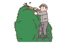 いせはら安心お助け隊！植木剪定サービス2時間 [0196]